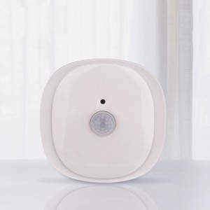 battery operated motion sensor lights